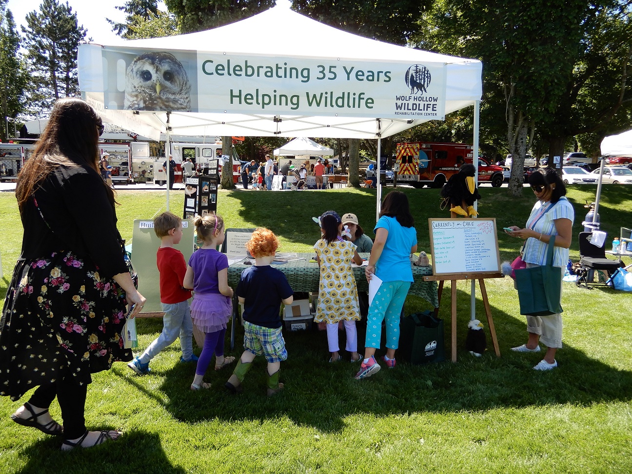 Anacortes Kids R Best Fest Wolf Hollow Wildlife Rehabilitation Center