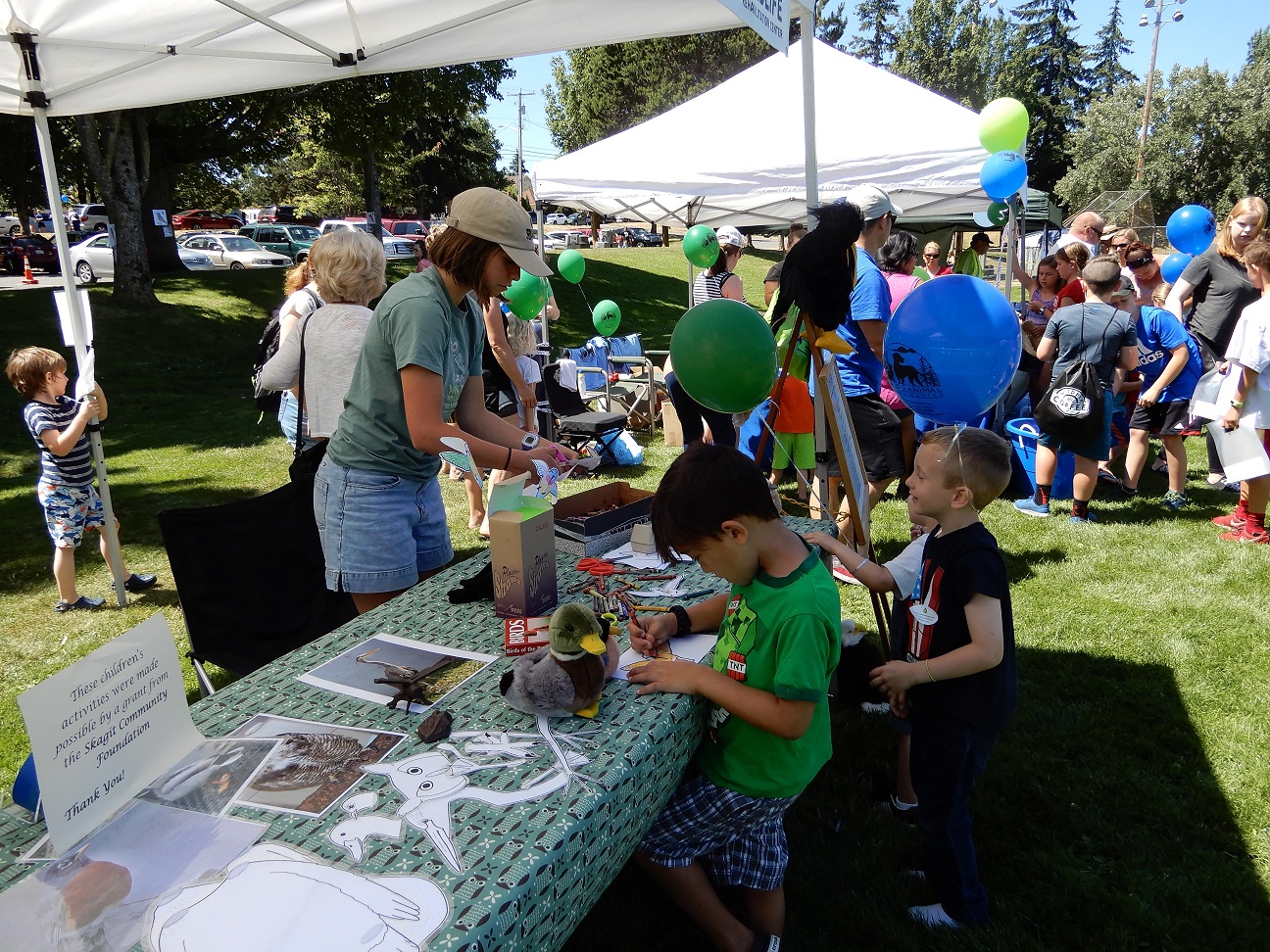 Anacortes Kids R Best Fest Wolf Hollow Wildlife Rehabilitation Center