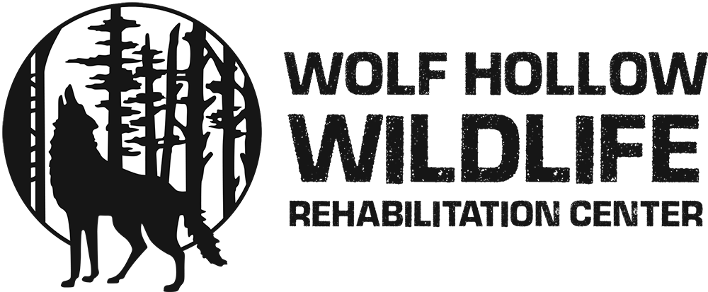 Wolf Hollow Wildlife Rehabilitation Center