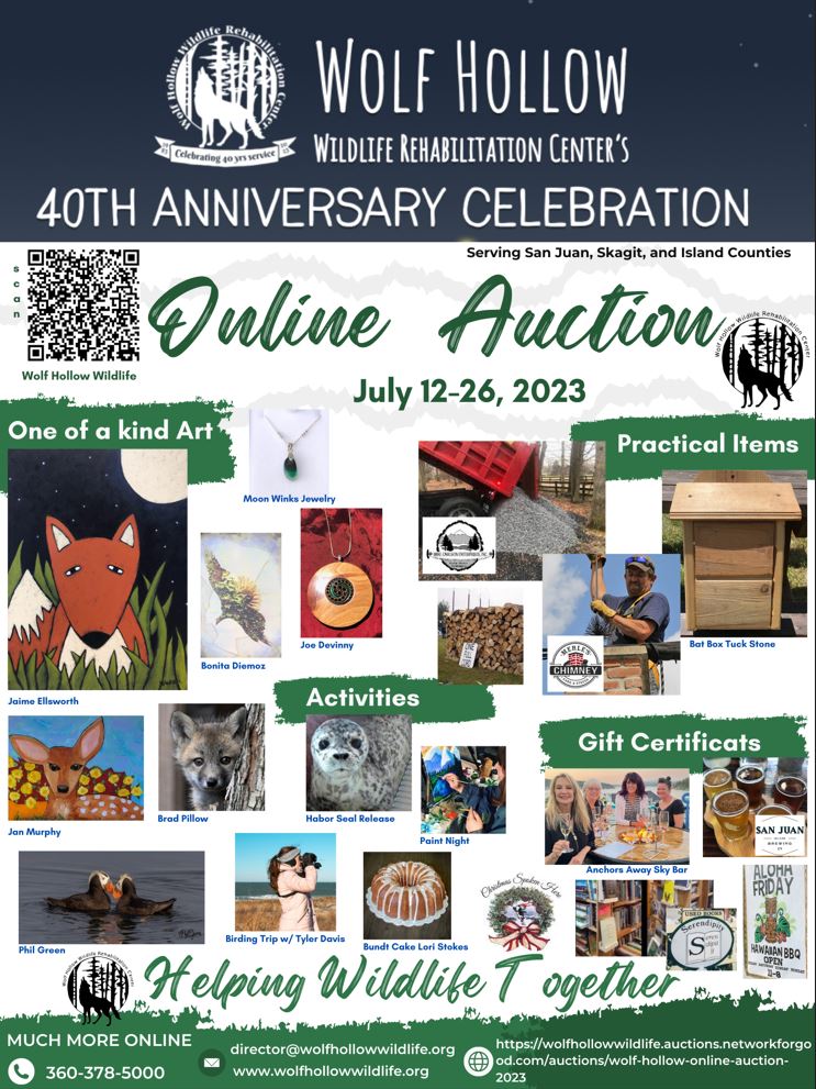 3rd Annual Online Auction