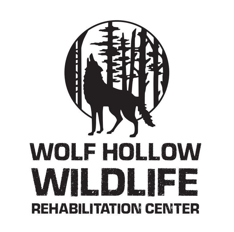 Wolf Hollow Wildlife Rehabilitation Center