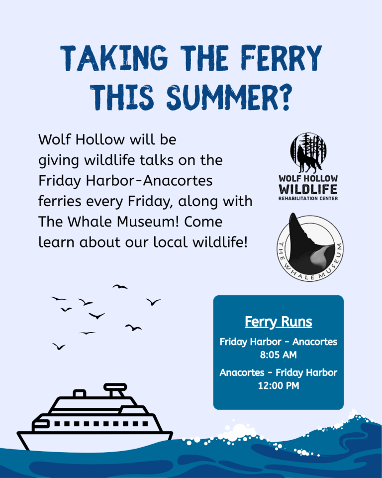Wildlife Ferry Talks!