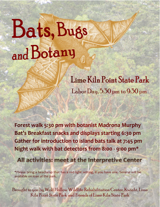 Bats, Bugs & Botany!