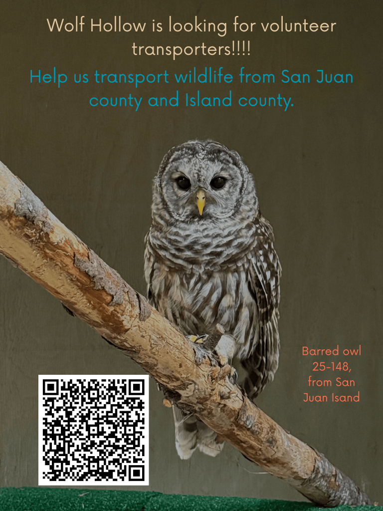 Transport Volunteers Needed!