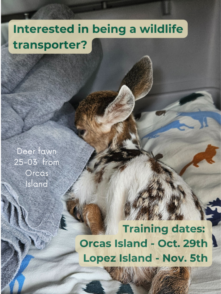 Wildlife Transport Training
