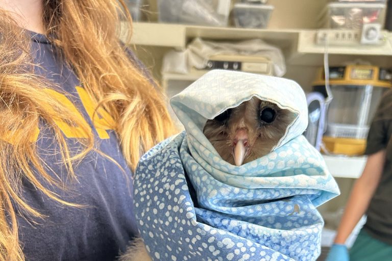 2026 Applications NOW OPEN!