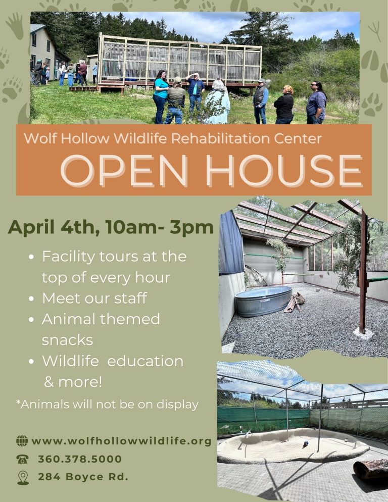 Save the Date! 2026 Open House- April 4th!